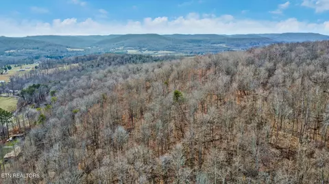 Shellotte Loop, Pall Mall, TN 38577 photo 7