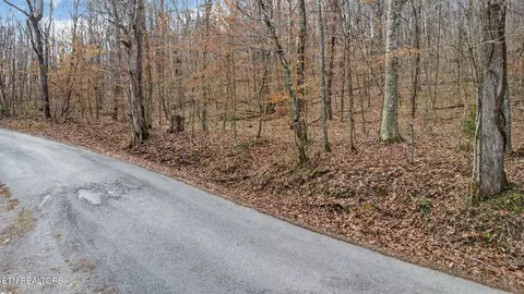 Shellotte Loop, Pall Mall, TN 38577 photo 19