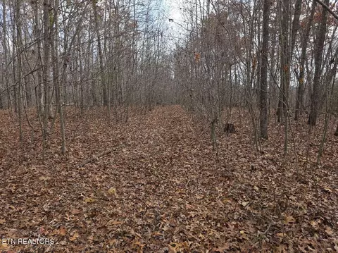 Junior Cox Rd, Deer Lodge, TN 37726