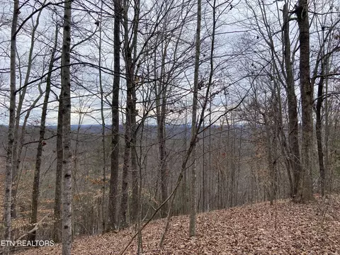 Timber Creek Rd, New Tazewell, TN 37825