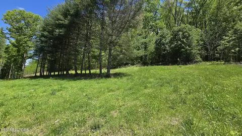 Tracts 1-3 Dooley Hollow Rd, Ewing, VA 24248