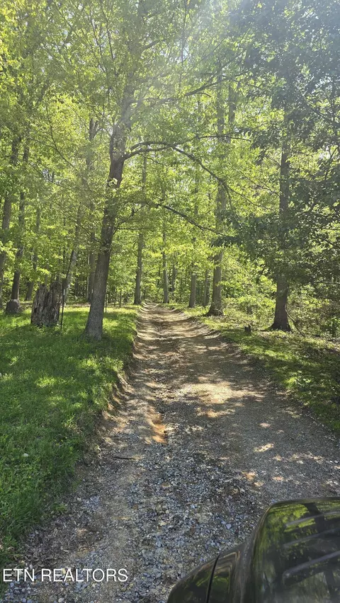 Tract 7 Dooley Hollow Rd, Ewing, VA 24248