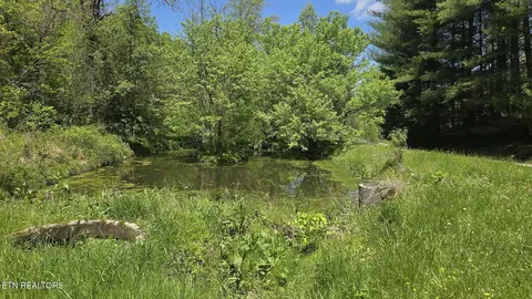 Tract 8 Dooley Hollow Rd, Ewing, VA 24248