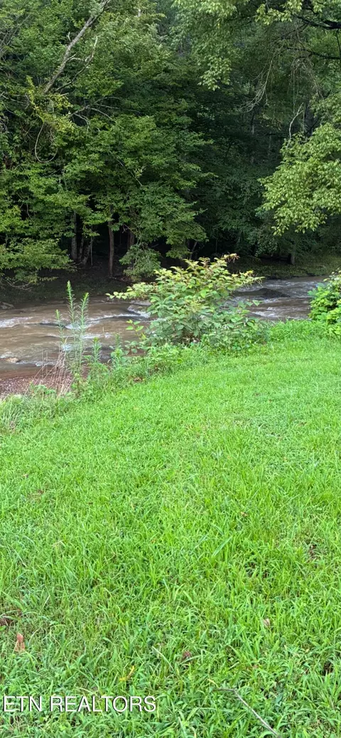Blue Mill Rd, Del Rio, TN 37727