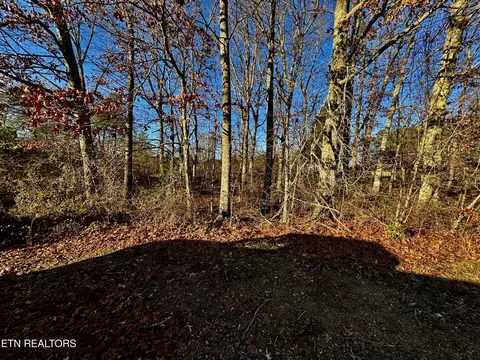 Four Mile Creek Rd, Deer Lodge, TN 37726