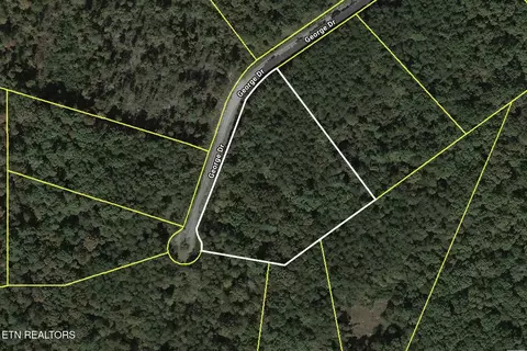 George Drive, Deer Lodge, TN 37726