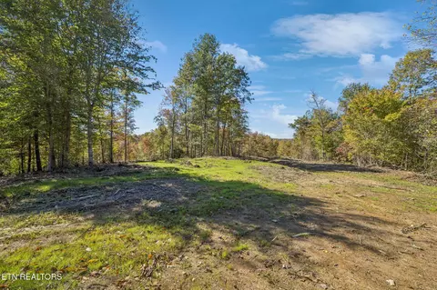 Sheep Ranch Rd, Robbins, TN 37852