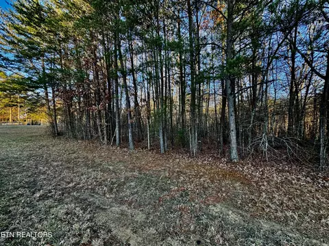 George Drive, Deer Lodge, TN 37726