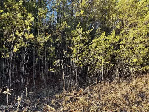 George Drive, Deer Lodge, TN 37726