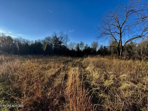 Four Mile Creek Rd, Deer Lodge, TN 37726