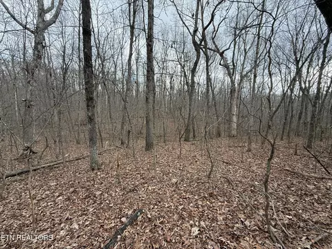 Crest Rd, Monterey, TN 38574