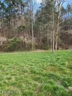 Little Elk Creek Rd, Pioneer, TN 37847