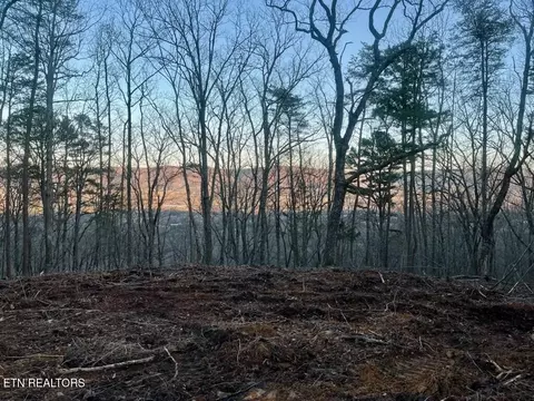 198 Old Spencer Road, Pikeville, TN 37367