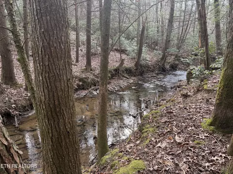 Street Place Loop, Monterey, TN 38574