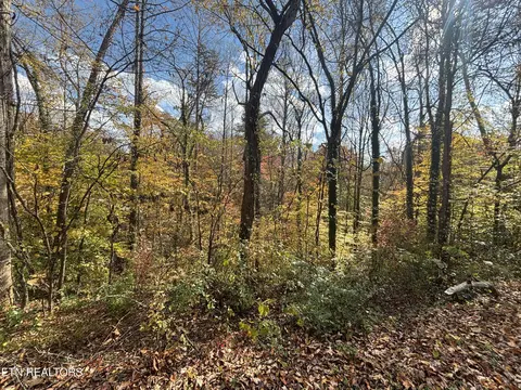 Pine Dr, Pigeon Forge, TN 37863