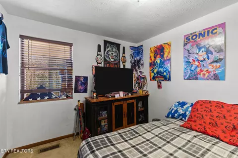 Bedroom - 1756 Mansfield Gap Rd, Talbott, TN 37877 photo 4 of 6