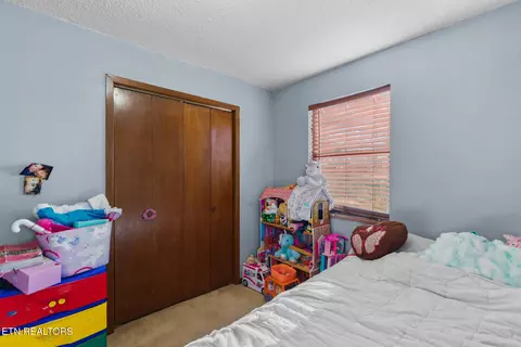 Bedroom - 1756 Mansfield Gap Rd, Talbott, TN 37877 photo 5 of 6