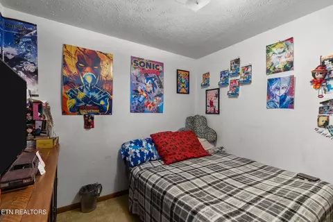 Bedroom - 1756 Mansfield Gap Rd, Talbott, TN 37877 photo 3 of 6