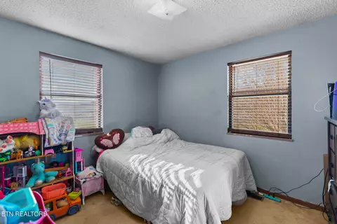 Bedroom - 1756 Mansfield Gap Rd, Talbott, TN 37877 photo 6 of 6