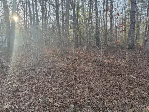 107 Ola Dr, Crossville, TN 38572
