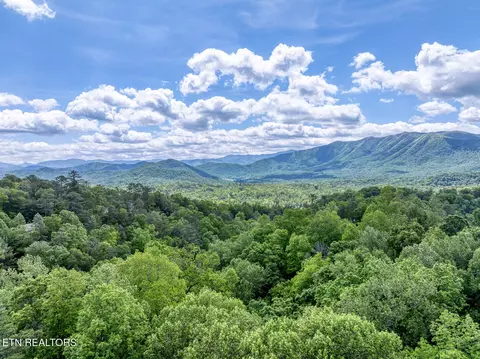 Ace Gap Rd, Townsend, TN 37882 photo 5