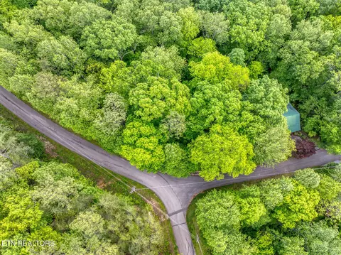 Ace Gap Rd, Townsend, TN 37882 photo 3