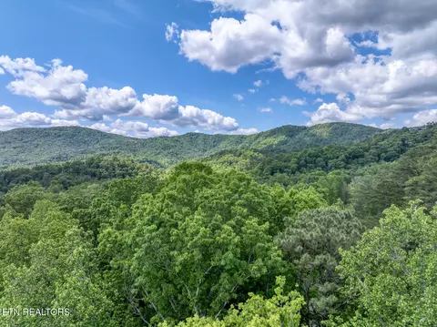 Ace Gap Rd, Townsend, TN 37882 photo 6