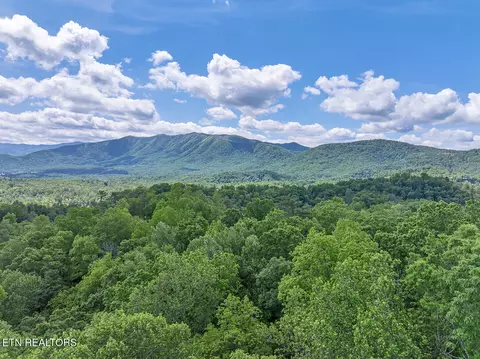 Ace Gap Rd, Townsend, TN 37882 photo 4