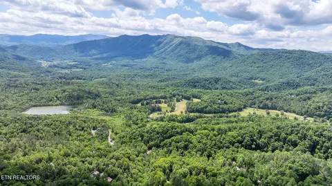 Ace Gap Rd, Townsend, TN 37882 photo 7