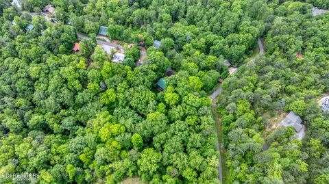 Ace Gap Rd, Townsend, TN 37882 photo 8