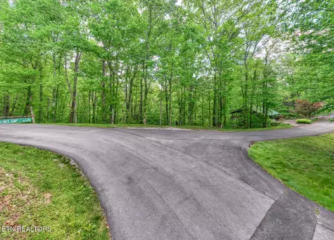Ace Gap Rd, Townsend, TN 37882 photo 2