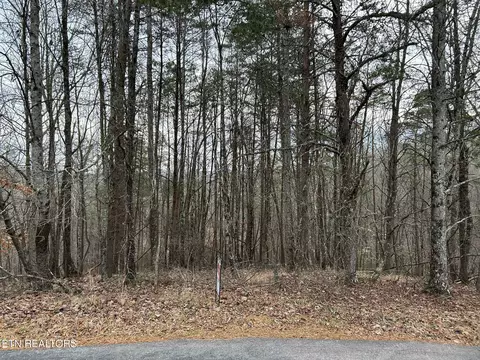 Black Hawk Drive, Ten Mile, TN 37880