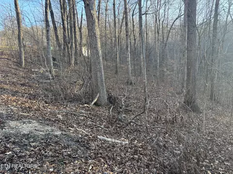 Lake Drive Lane, La Follette, TN 37766