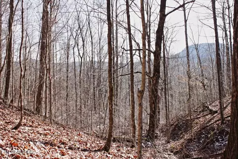 Cheynne Drive, Jamestown, TN 38556