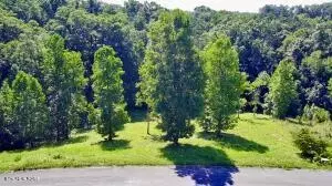 Cypress Drive, Dandridge, TN 37725