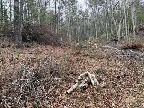 Coy Rhea Way, Sevierville, TN 37876