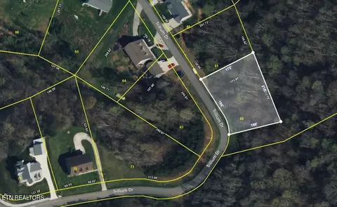 Trillium Drive, Andersonville, TN 37705