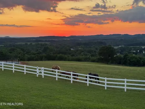 901 Lynnwood Dr, Greenback, TN 37742