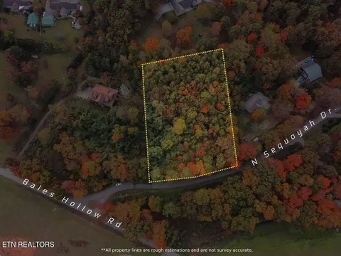 N Sequoyah Drive, Friendsville, TN 37737