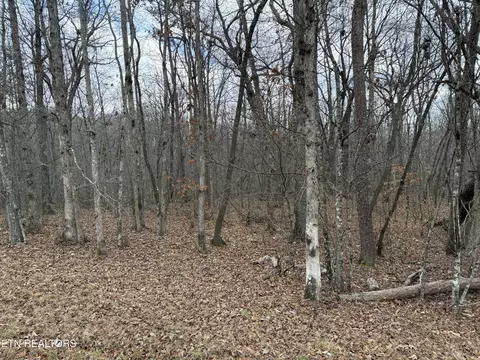 Cumberland Lakes Drive, Monterey, TN 38574
