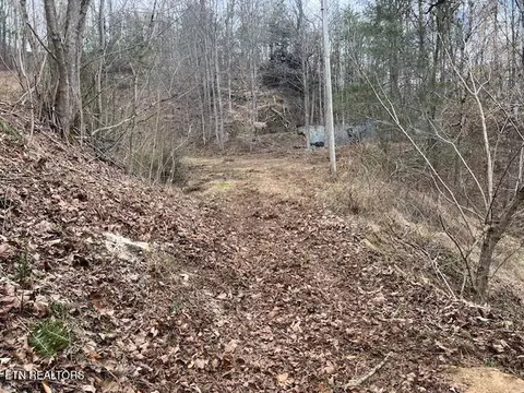 3071 Mica Way, Cosby, TN 37722