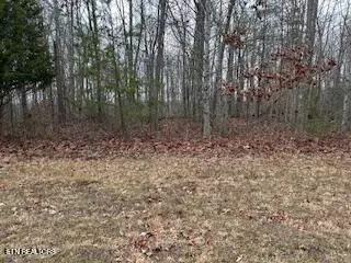 Buckeye Lane, Crawford, TN 38554