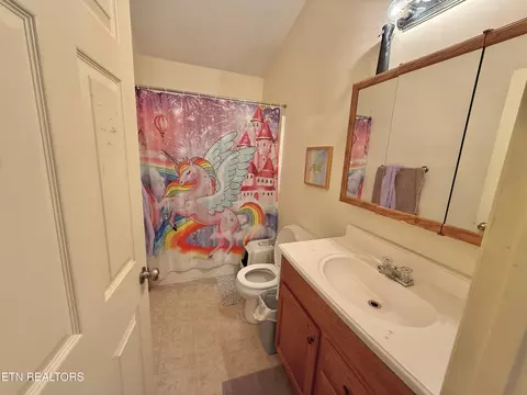 Bath - 315 Rowlett Tr, Ewing, VA 24248 photo 1 of 1