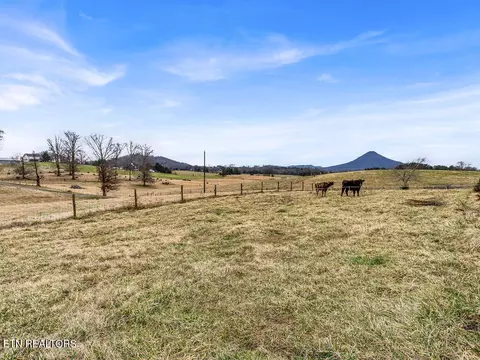 Exterior - 10724 Emory Rd, Luttrell, TN 37779 photo 9 of 18