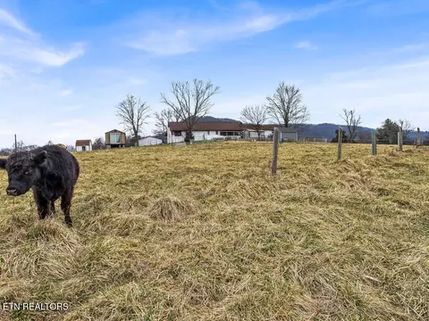 Other - 10724 Emory Rd, Luttrell, TN 37779 photo 2 of 14