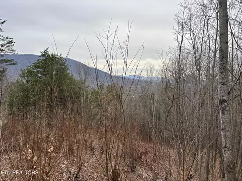 lot19 Dogwood Ridge Way, Sevierville, TN 37862
