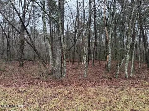 lot5 Cumberland Lakes Dr, Monterey, TN 38574