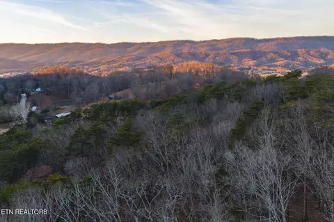 1655 Lester Whitt Rd, Rutledge, TN 37861