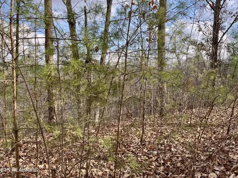 Dollys Drive, Sevierville, TN 37868