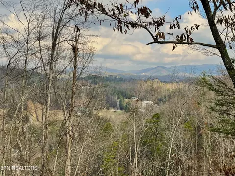 Dollys Drive, Sevierville, TN 37868